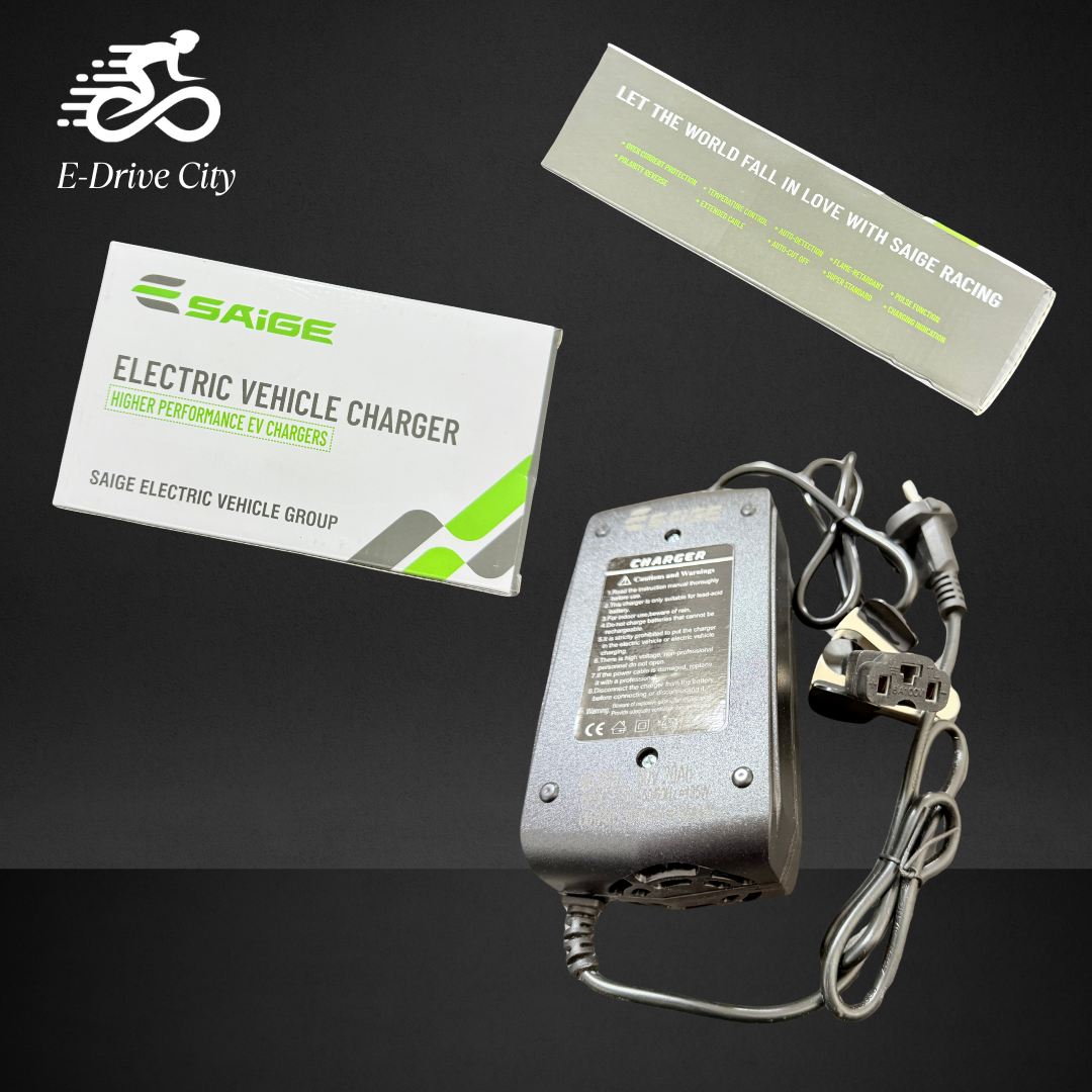 Bleiakku Ladegerät 60V  - Blei-Säure-Akkus (acid battery)