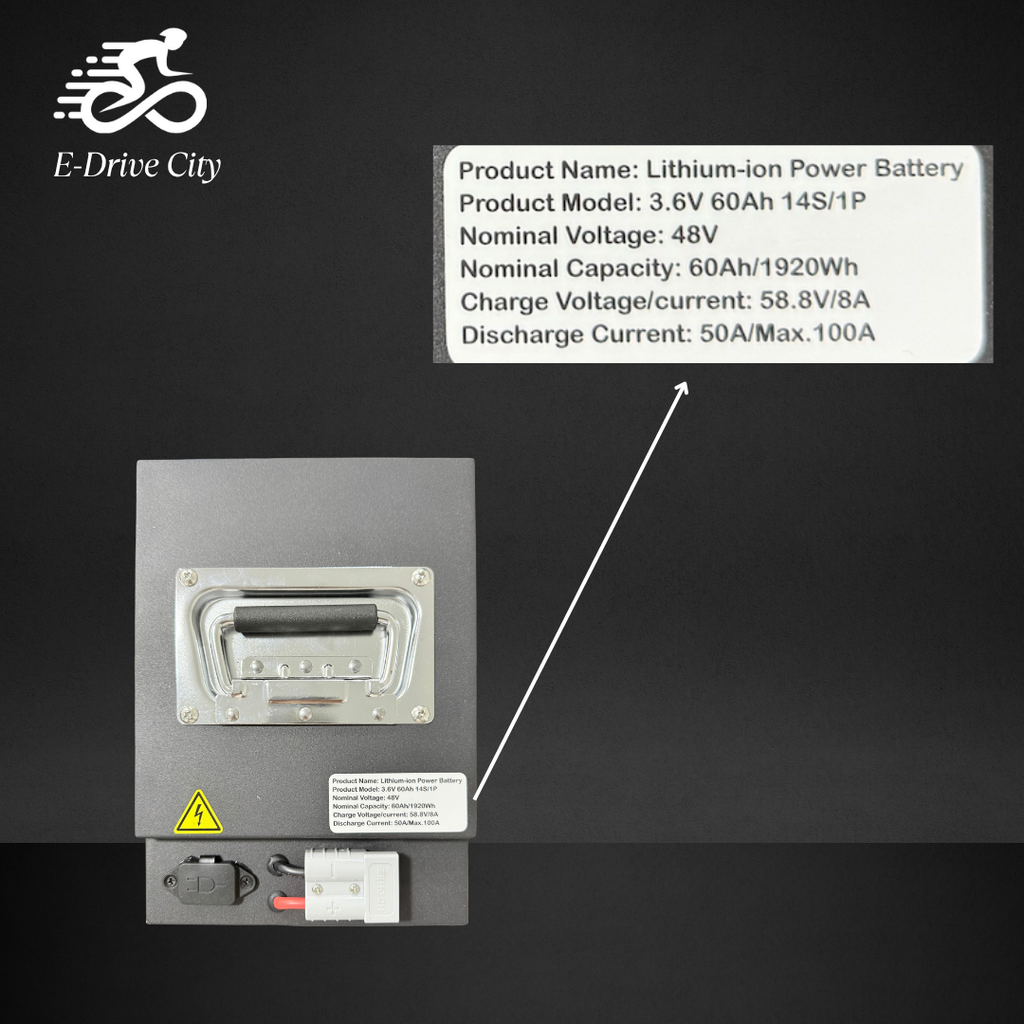 Lithium-Ionen-Akku 48V 60Ah