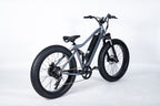 E-Bike RW1