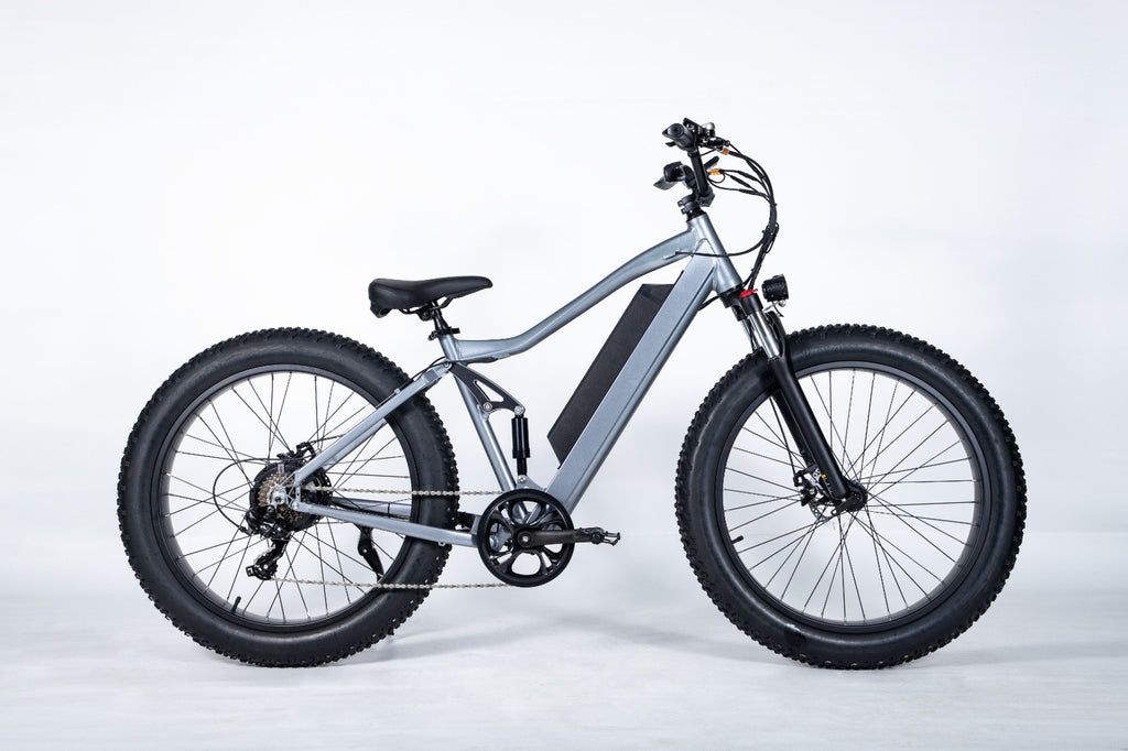 E-Bike RW1