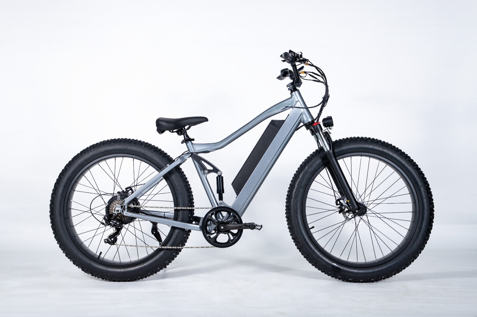 E-Bike RW1