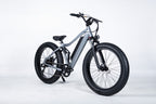 E-Bike RW1