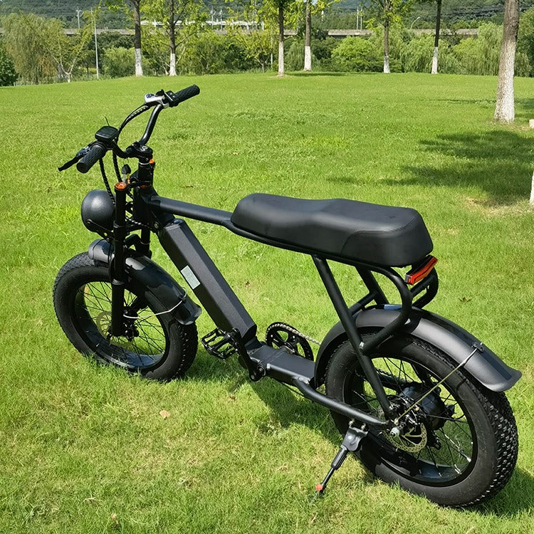 FGS E-Bike