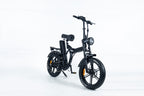 EBIKE 20FF