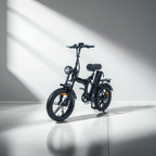 E-BIKE 20FF