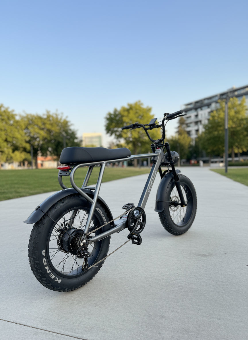 FGS E-Bike
