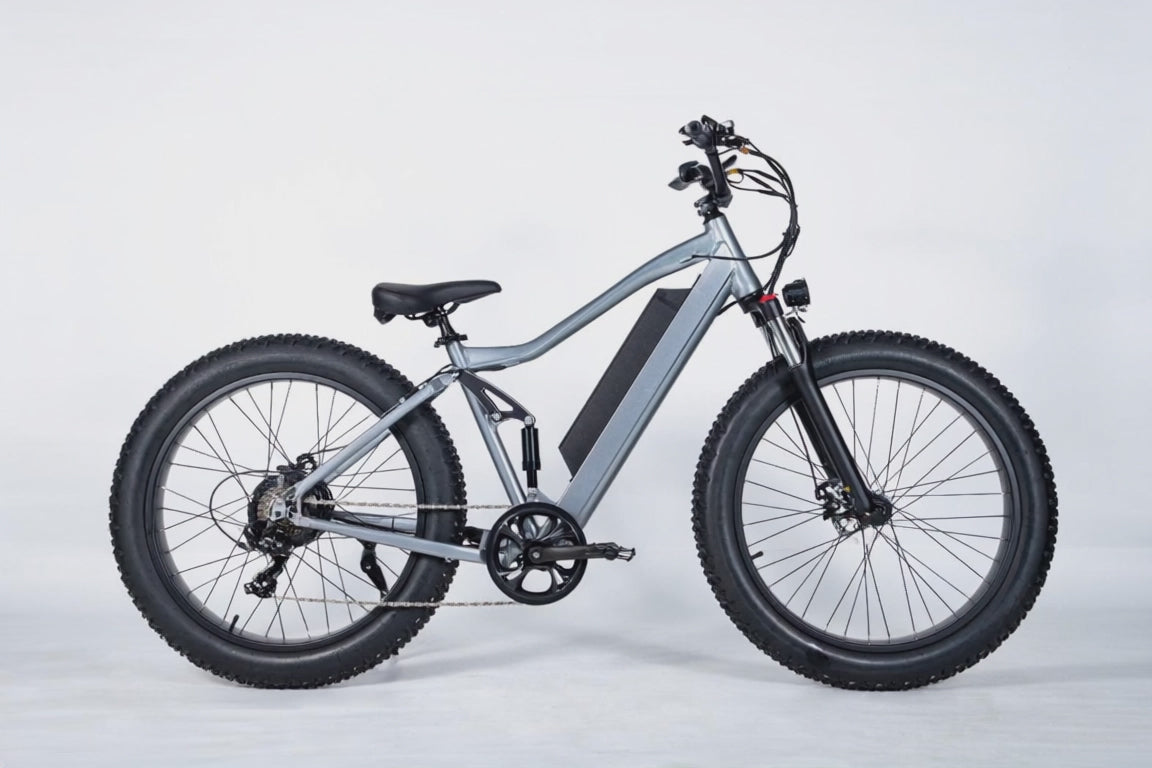 E-Bike RW1