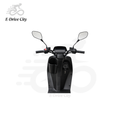 Moped Innenverkleidung für Lofty und Equickey