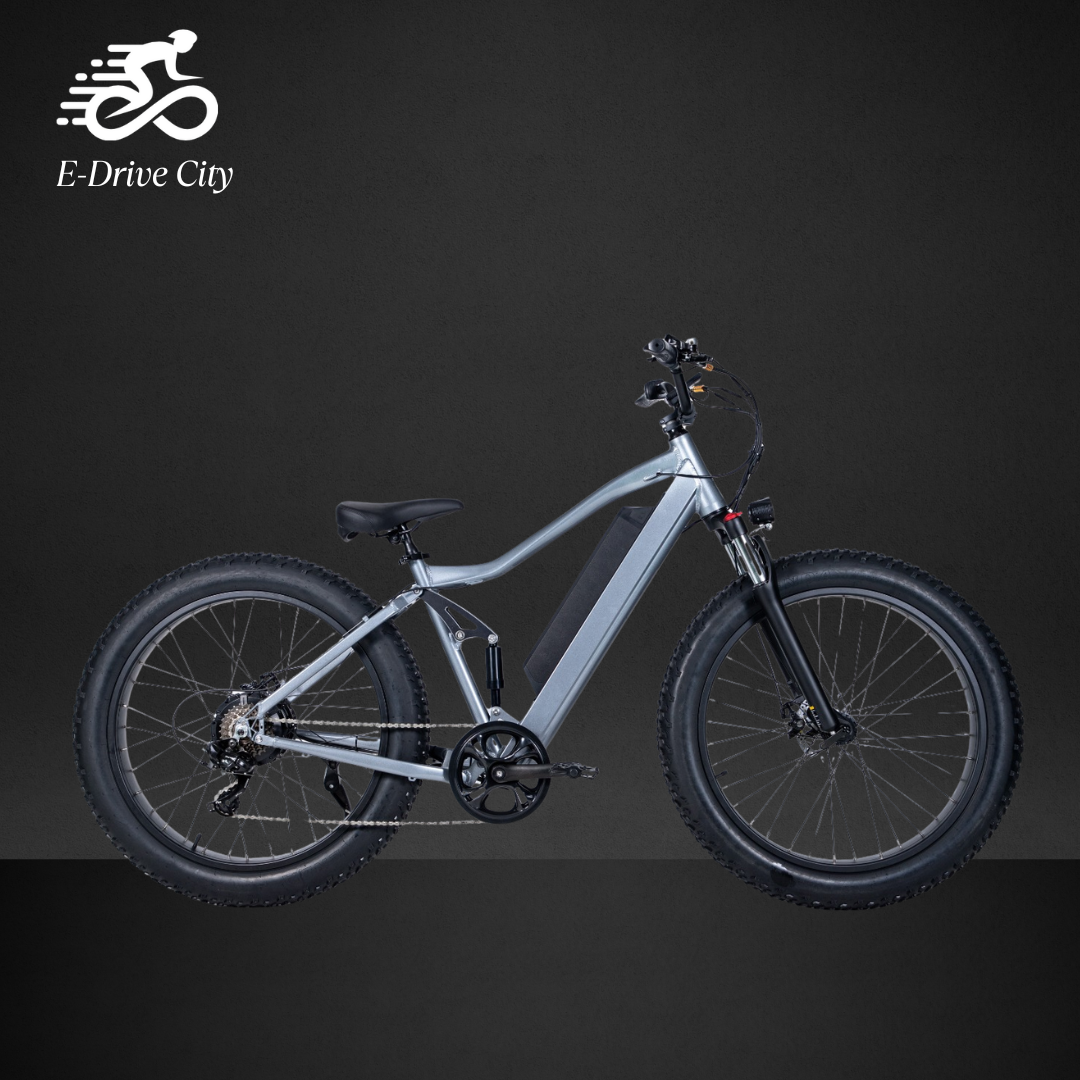 E-Bike RW1