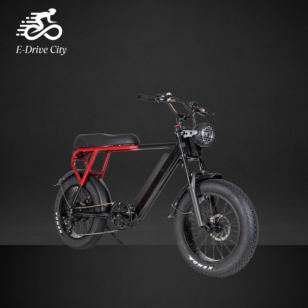 FGS E-Bike